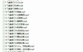 冯嘉茗飞盘奇门遁甲专业教程，35集视频