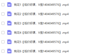 梁宇蓁风水桃花视频8课