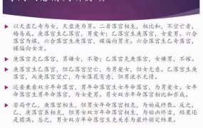 刘文元弟子晓午奇门课程，视频14集+资料