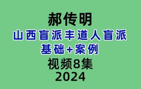 郝传明山西盲派丰道人盲派基础+案例视频8集