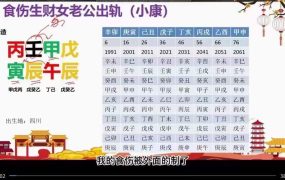 文曾盲派八字案例精解，视频31集