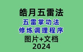 皓月五雷法五雷掌功法修炼调理程序   视频+图片+文档