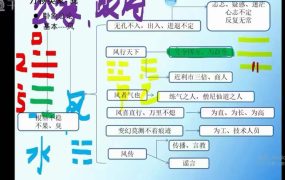 梅花五瓣开梅花系统课44集视频