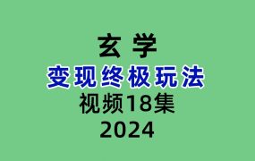 玄学变现终极玩法18集视频