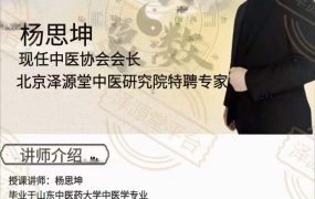 杨思坤八卦象数系列网课 18集视频