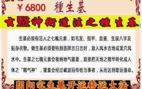 种生基法视频+文档+图片