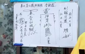 楚恒李钦霆真心教初级，视频10集