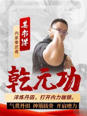 姜书洋乾元功，视频8集
