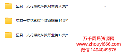 【合集】25年显君一支花紫微斗数在线课程（同步断诀）婚姻篇➕财官篇➕职业篇  3套大合集  视频课