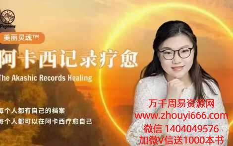 美丽灵魂™阿卡西记录疗愈，视频23集