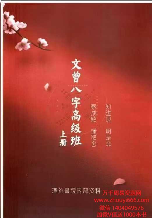 【合集】文曾《八字盲派高级班》电子书上下2册