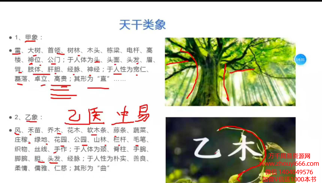 紫阳老师《梅花易数高级课程》视频14集