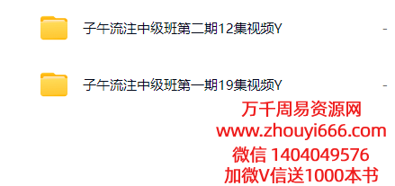 【合集】子午流注中级班课程 1期+2期视频大合集2套