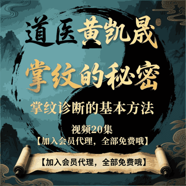 道医黄凯晟《掌纹的秘密 掌纹诊断的基本方法》视频20集