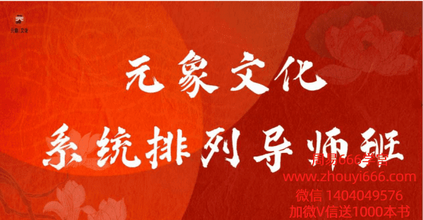 【家排课程】元象文化系统排列导师班33集视频