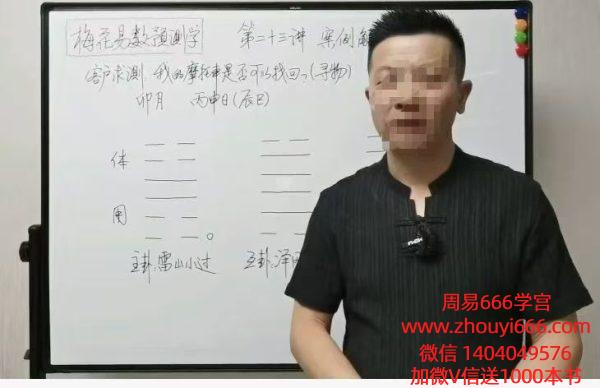 张老师《张老师讲梅花》23集视频